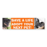 Puppy & Kitty Bumper Sticker