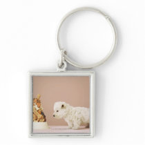 Puppy looking at pile of biscuits in dog bowl keychain