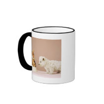 Puppy looking at pile of biscuits in dog bowl coffee mugs