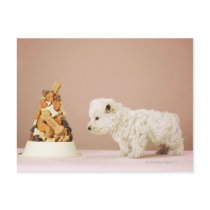 Puppy looking at pile of biscuits in dog bowl post card