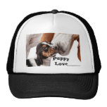 puppy love hat