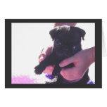 Puppy Love II