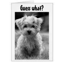 PUPPY LOVE NAUGHTY OR NICE AT CHRISTMAS CARD