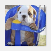 Puppy magnet