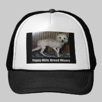 Puppy Mill Hat hats