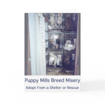 Puppy Mills Breed Misery Card
