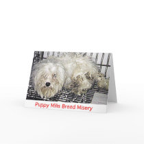 Puppy Mills Breed Misery Card