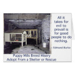 Puppy Mills Breed Misery Card