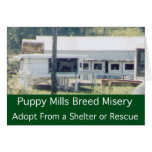 Puppy Mills Breed Misery Card
