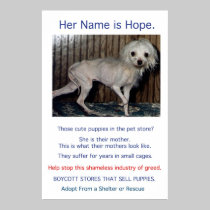 Puppy Mills Breed Misery Poster posters