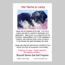 Puppy Mills Breed Misery Poster posters