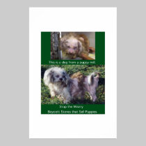 Puppy Mills Breed Misery Poster posters