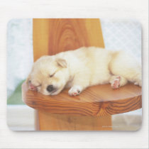 Puppy Mouse Pads