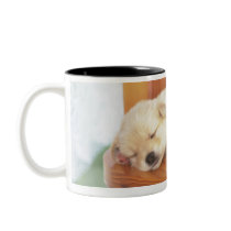 Puppy Coffee Mugs