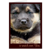 Puppy Photo Cards