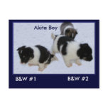 Puppy Postcards #0