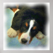 Puppy Poster