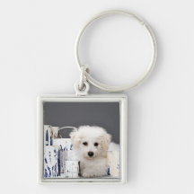 Puppy sitting amongst paint tins key chain