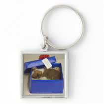 Puppy sleeping in a gift box keychains