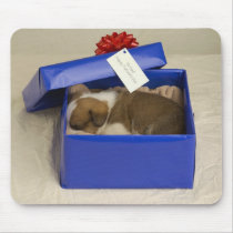 Puppy sleeping in a gift box mousepad