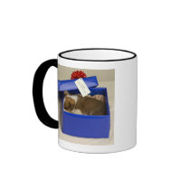 Puppy sleeping in a gift box mugs