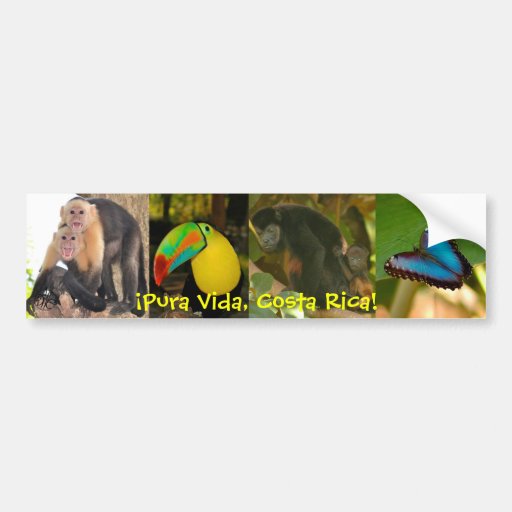 Pura Vida Costa Rica bumper sticker