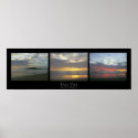 Pura Vida posters