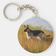 Pure Bred German Shepherd Photo on Key Chain
