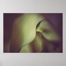 Pure elegance poster