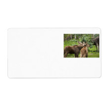Pure Innocents Custom Shipping Labels
