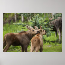 Pure Innocents Print