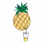 pure pineapple juice photo sculptures