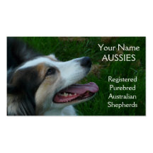 Purebred Black Tricolor Aussie  Business Card