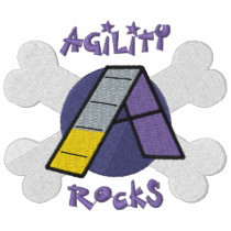 Purple Agility Rocks