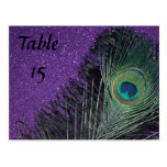 Purple and Black Peacock Wedding Table Numbers Postcard