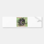 Purple and Green Passion Flower Bloom Bumper Stickers