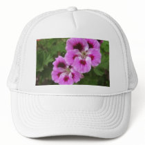 Purple and Mauve Geraniums 1 Hats