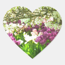 Purple and Pink Tulips Sticker