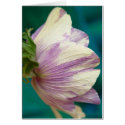 purple and white anenome cards
