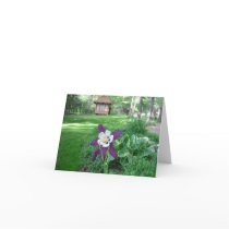 Purple and White Columbine Greeting Card