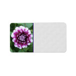 Purple and White Dahlia Custom Address Labels