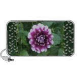 Purple and White Dahlia iPhone Speaker