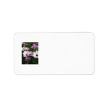 Purple and White Daisies 3 Painterly Address Label