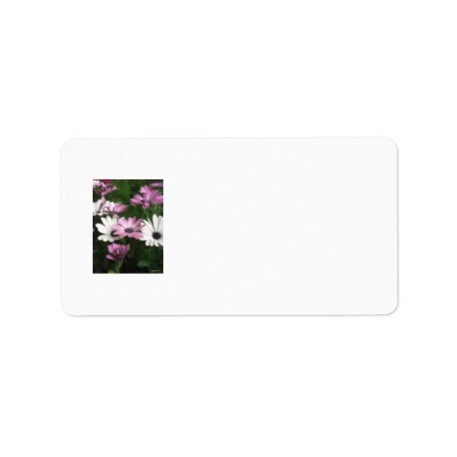 Purple and White Daisies 3 Pastel Address Label
