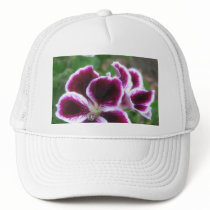 Purple and White Geraniums 1 Hat