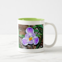 Purple and White Striped Crocus Coffee Mug