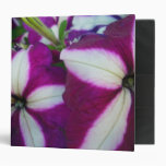 Purple and White Striped Petunias binders