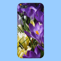 Purple And Yellow Crocuses iPhone 5 case iphone cases