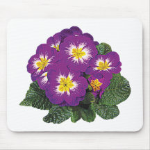 Purple and Yellow Primroses Mouse Pads