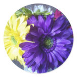 Purple and Yellow stickers